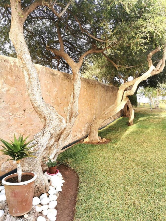 Maison Mimosa, Lovely 3 Bedroom Villa With A Large Pool Essaouira Bagian luar foto