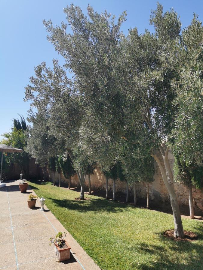 Maison Mimosa, Lovely 3 Bedroom Villa With A Large Pool Essaouira Bagian luar foto