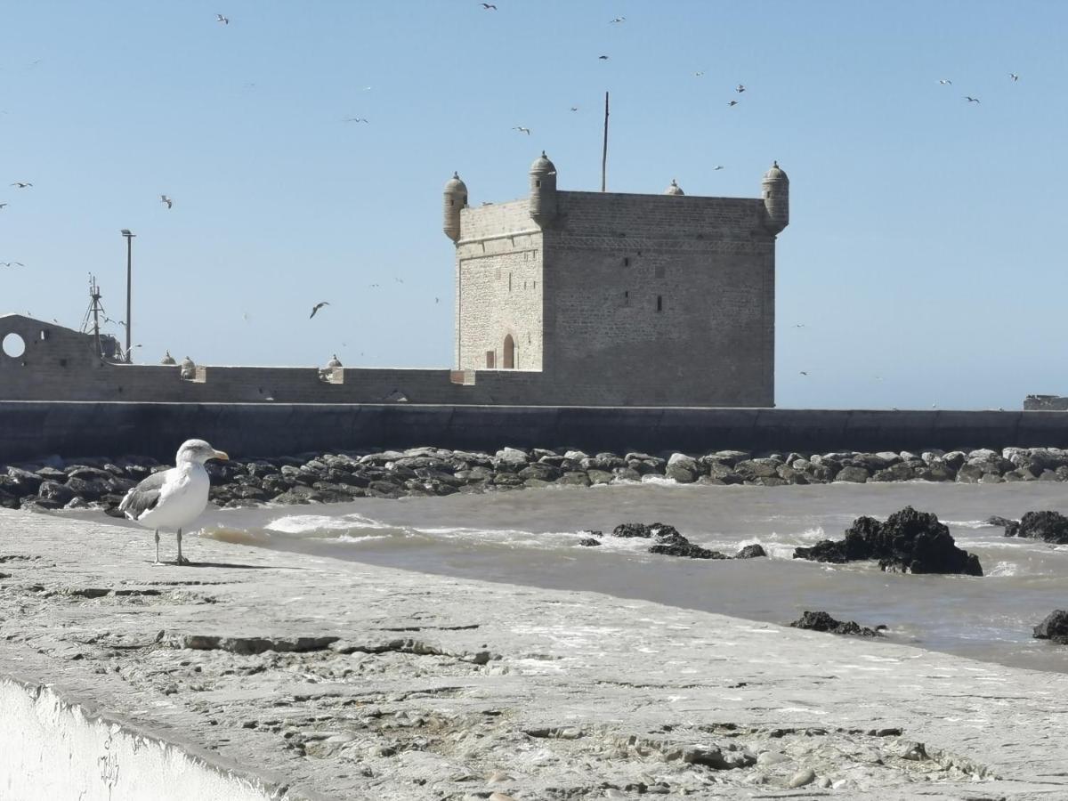 Maison Mimosa, Lovely 3 Bedroom Villa With A Large Pool Essaouira Bagian luar foto