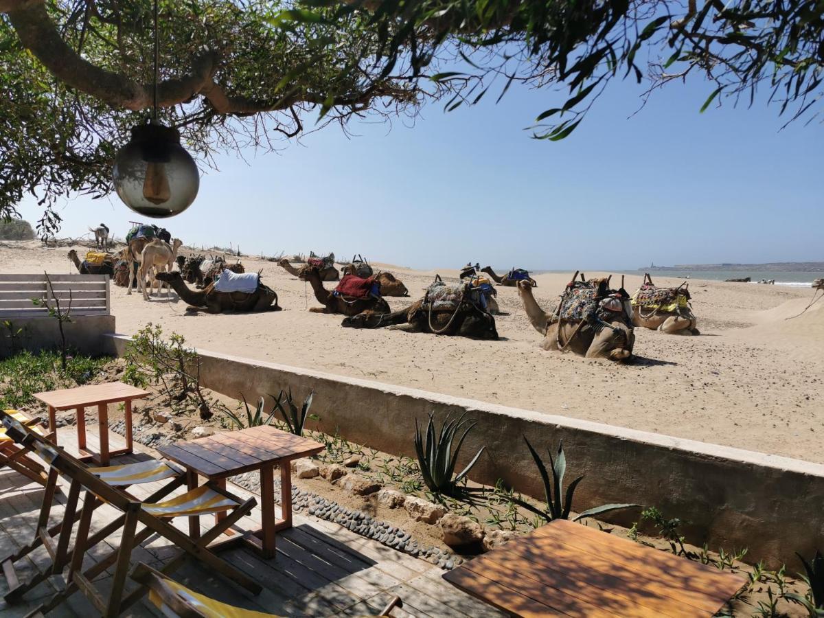 Maison Mimosa, Lovely 3 Bedroom Villa With A Large Pool Essaouira Bagian luar foto